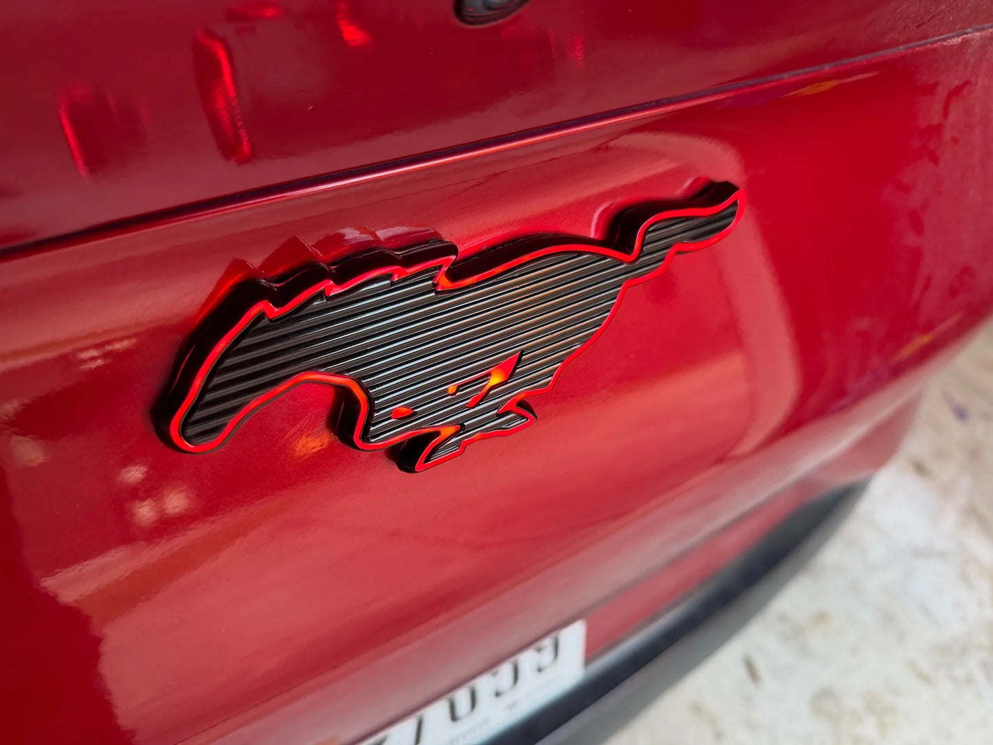 REAR LIGHT-UP PONY