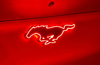 REAR LIGHT-UP PONY