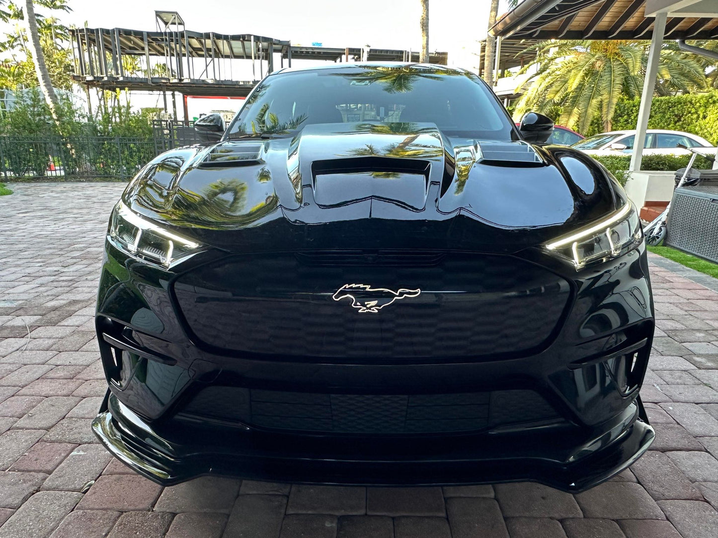 NEW ANIMAL HOOD WITH VENTS