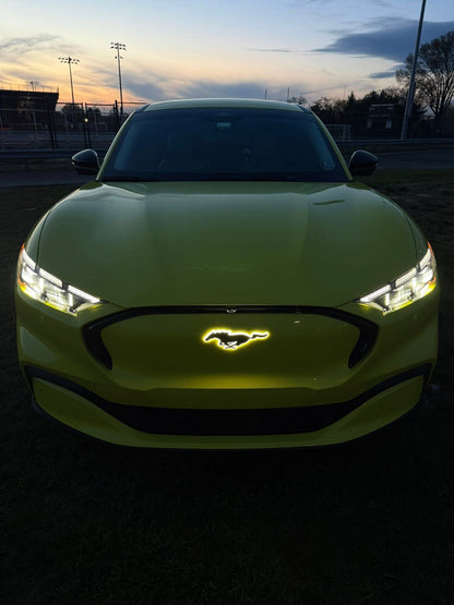 FRONT LIGHT‑UP PONY