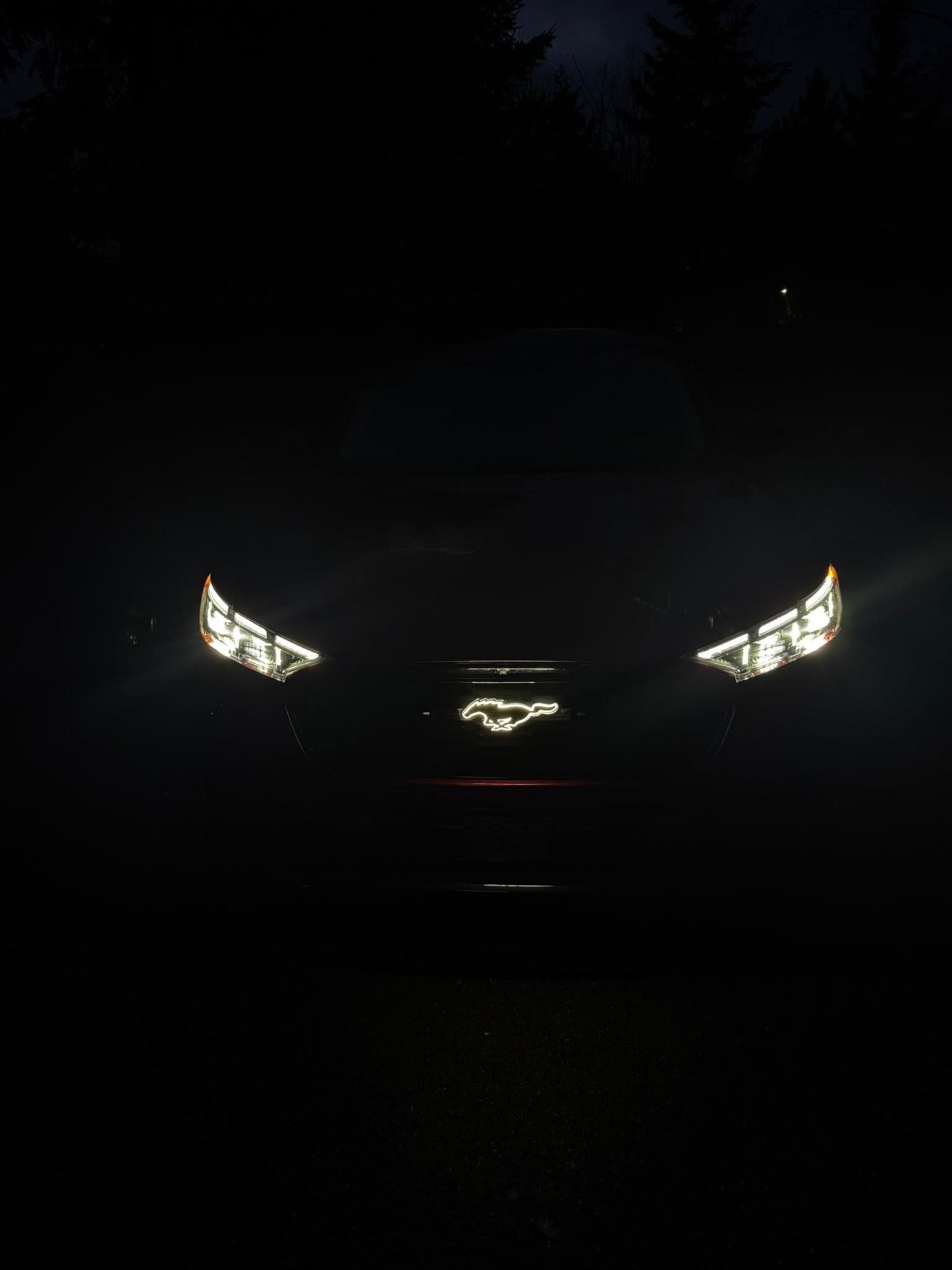 FRONT LIGHT‑UP PONY