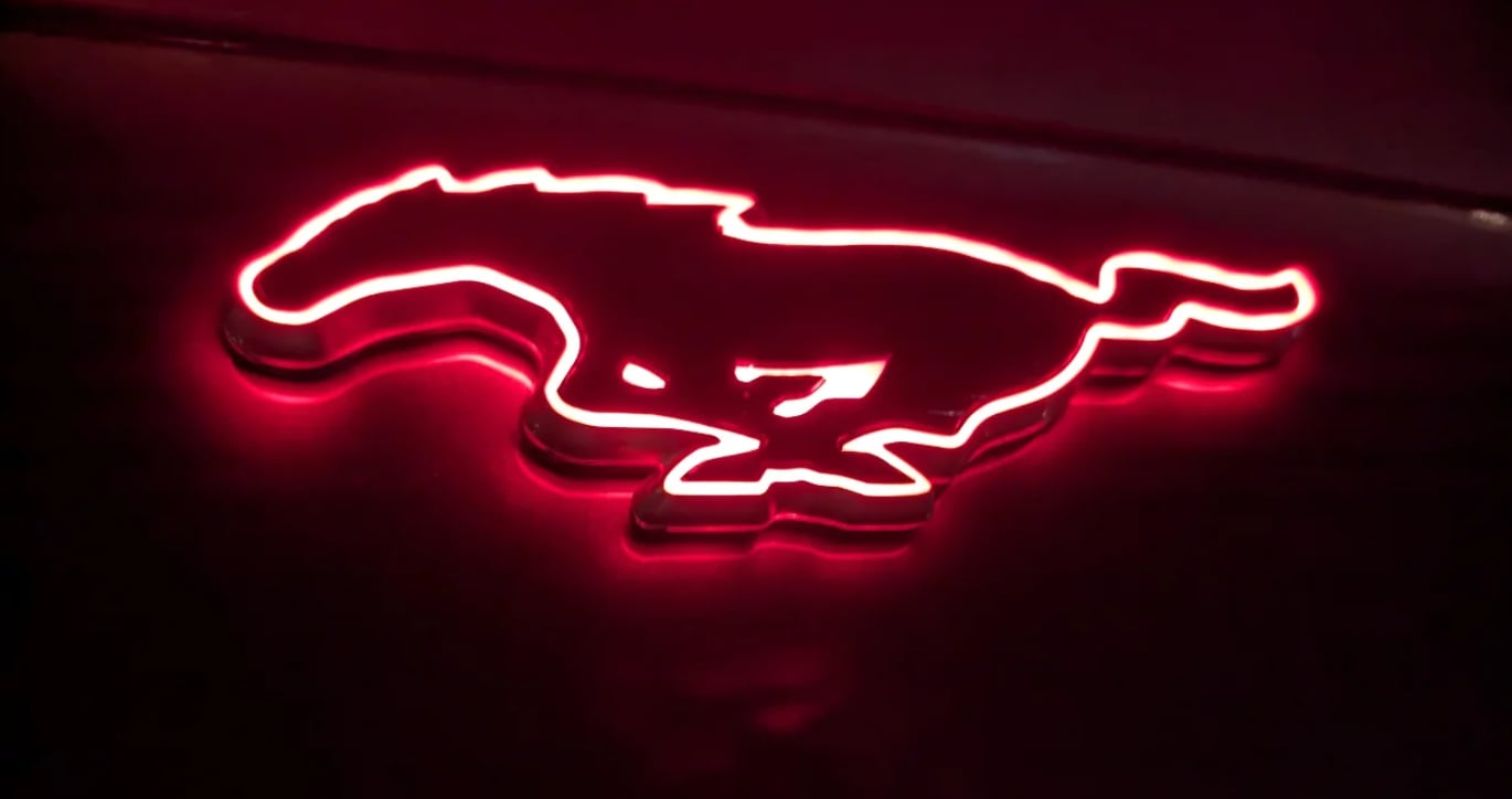 REAR LIGHT-UP PONY