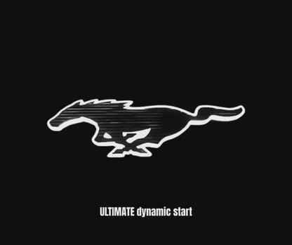 COMBO LIGHT‑UP PONY