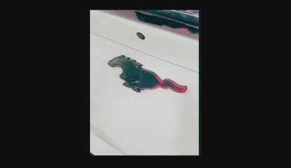 REAR LIGHT-UP PONY